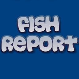 Fish_Report Profile Picture