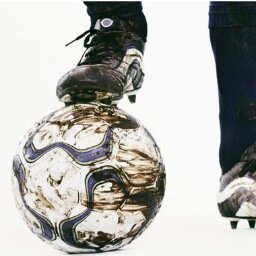Kritisch volgend voetbaldier