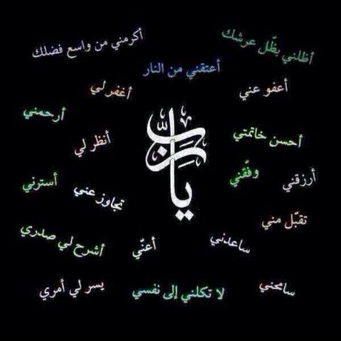 tramtran1606's profile picture. 