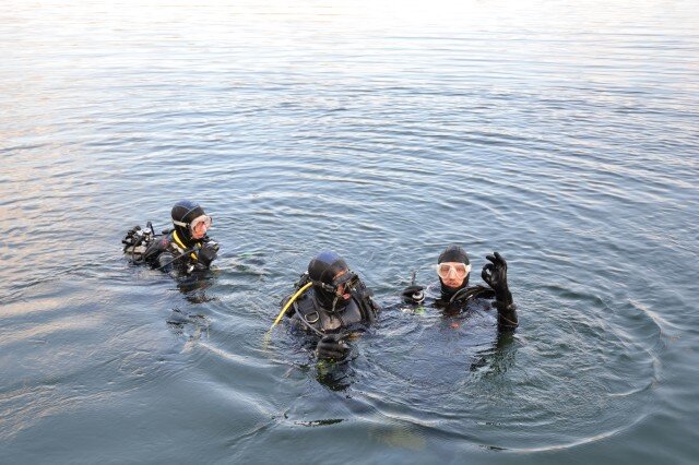 Diving, swimming, cycling, running, nature and the beauty of life