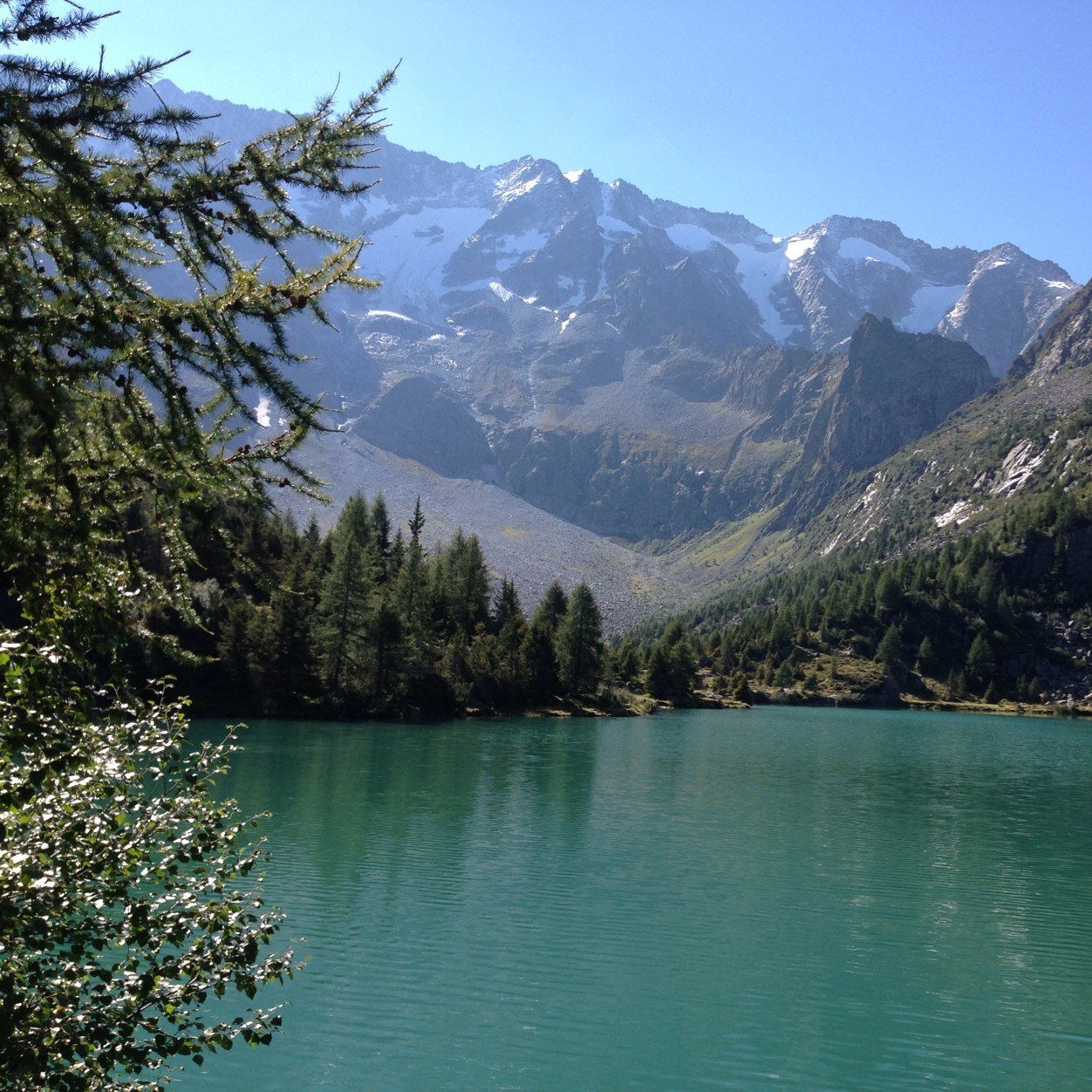 ezio_comai's profile picture. 