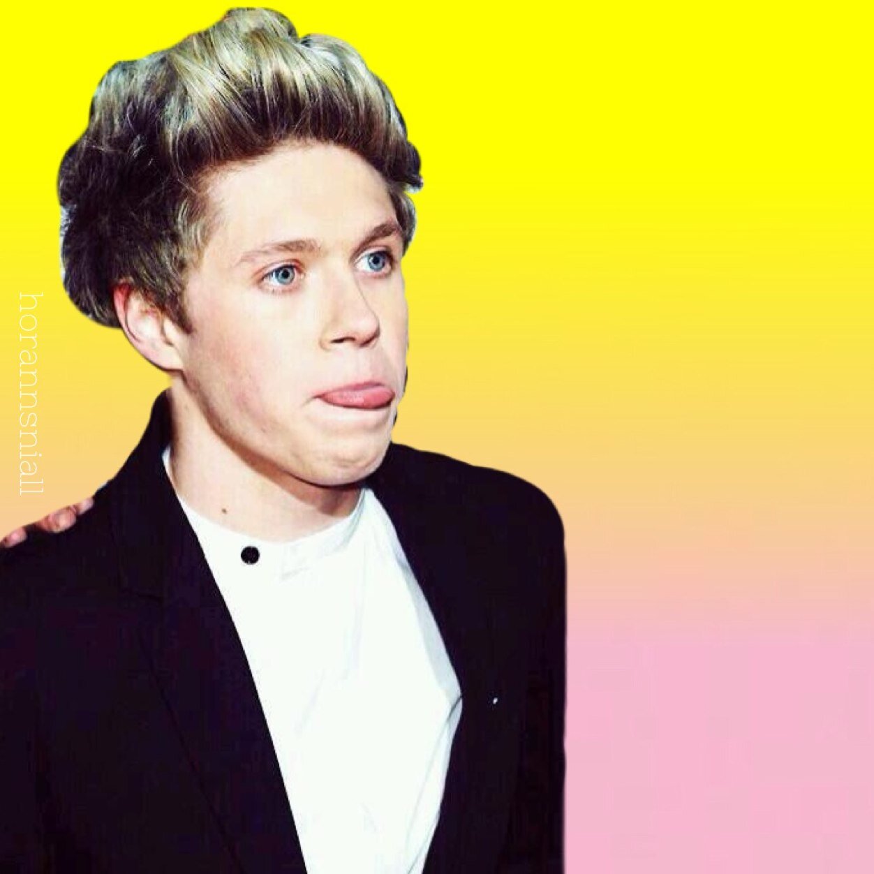 saved follow @horannsniall