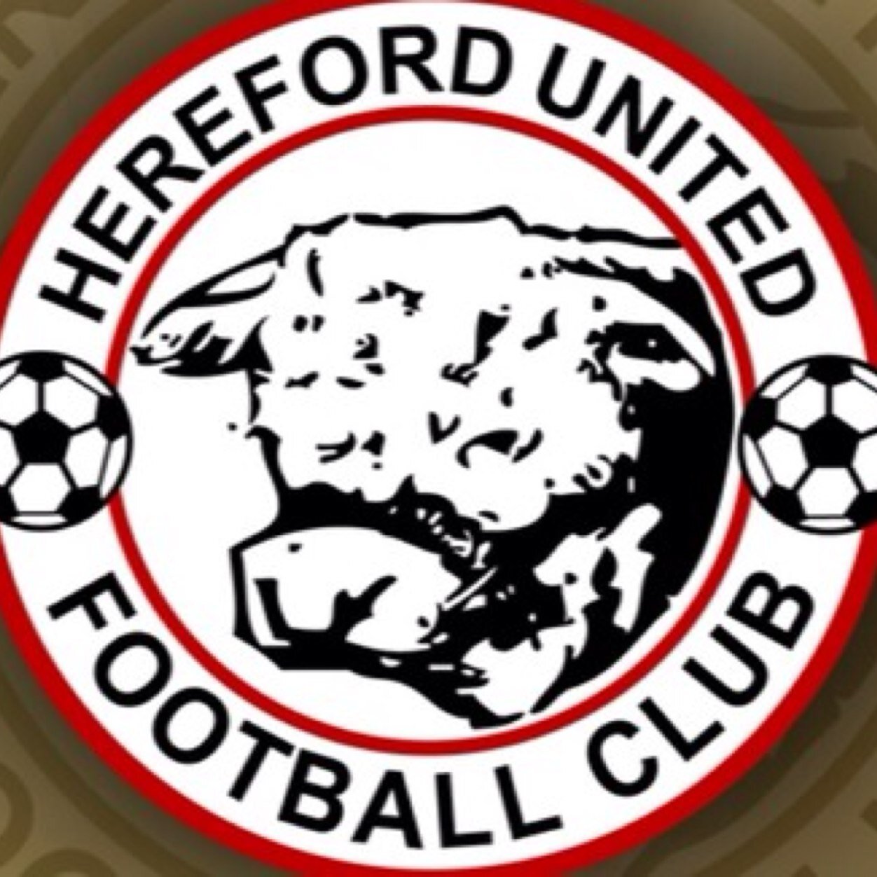 HUFCfansteam's profile picture. The official twitter account of the Hereford United supporters team. Direct any game offers or queries to hufcfansteam@gmail.com