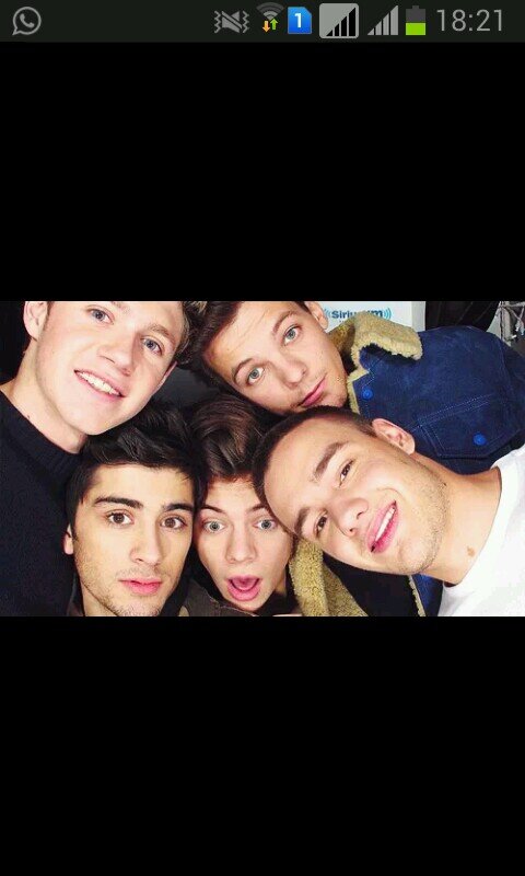 minha vida se resume em 5 pessoas: niall, harry, zayn, louis e liam! *•*           since:2/1/14