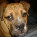 mayra aide paz ortiz - @aide_paz - Twitter