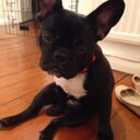 Imogen Fuller - @Imogenfuller - Twitter