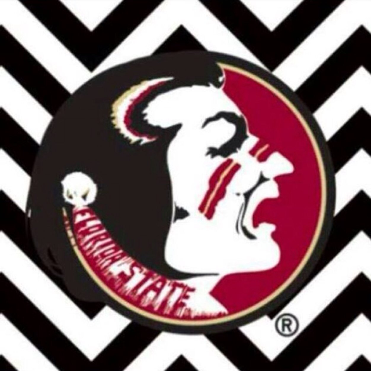 nolefans12 Profile Picture