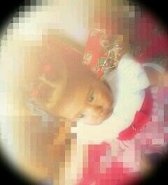 rusbel_torres's profile picture. jjajajaaj xDDDDDD