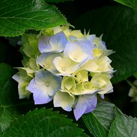 G_E_W_O_B_A_G (@g_e_w_o_b_a_g) 's Twitter Profile
