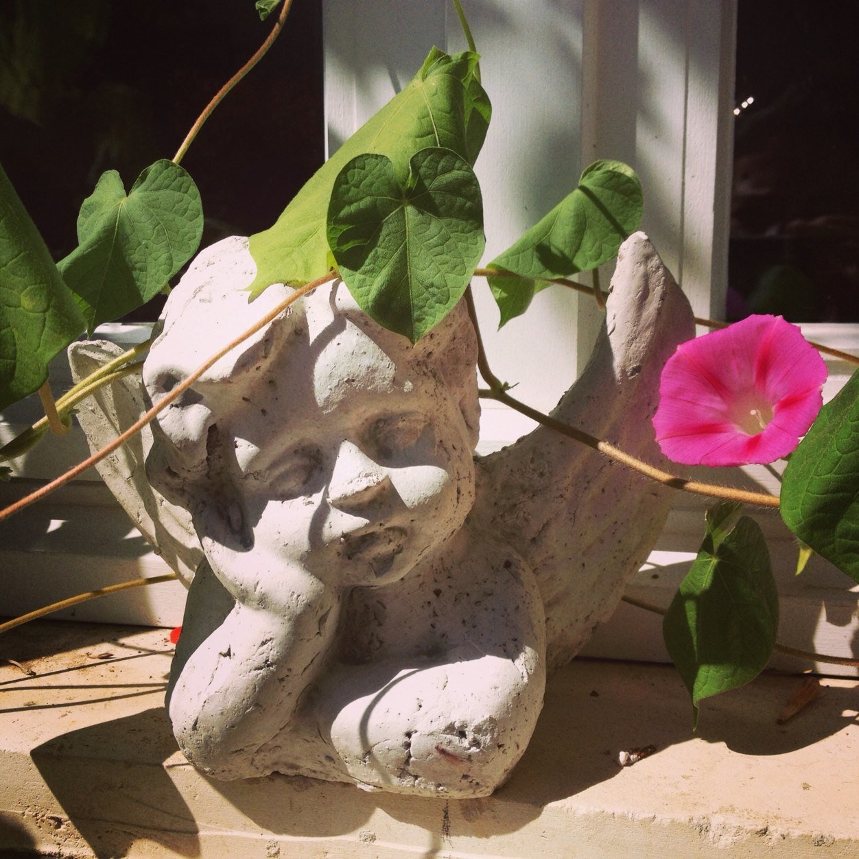 puitssteclaire's profile picture. Le Puits Sainte Claire, maison d'hôtes de charme en Aunis Marais poitevin, à proximité de La Rochelle.
A place to be.