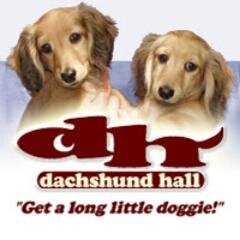 Small in-home breeder of AKC miniature dachshunds since 1990. Specializing in longhaired creams, wirehaired, silky-wire & smooth coats in all colors & patterns.