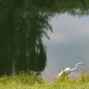 Lynn Levin - @LSquare505 - Twitter