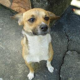 Felicidade acima de tudo. A vida é única, então vamos viver e vadiar.