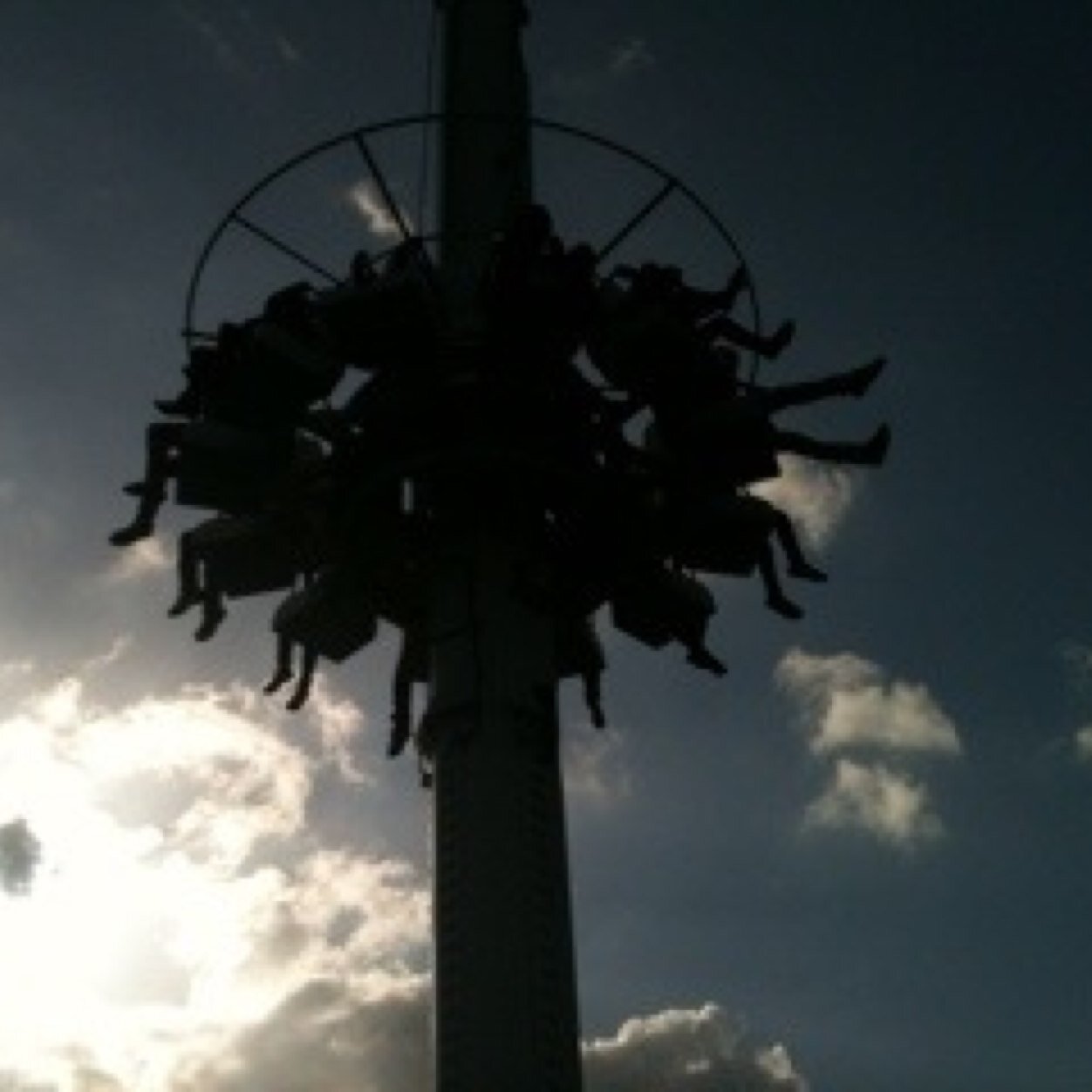 melidei's profile picture. 