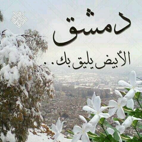 الرياض