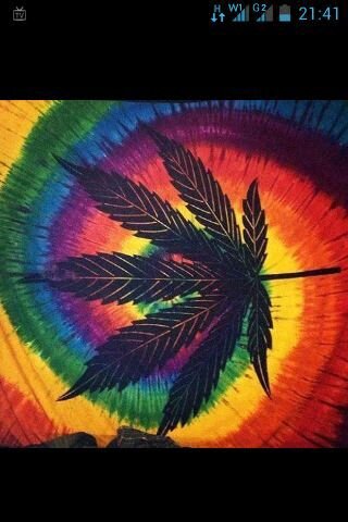 frasessdmusica's profile picture. 