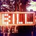 Bill Wasik (@billwasik) Twitter profile photo Bill Wasik (@billwasik) Twitter profile photo