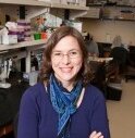 Evolutionary geneticist and fruitfly enthusiast