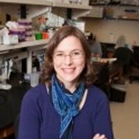 Laura Reed (@laurakreed) 's Twitter Profile