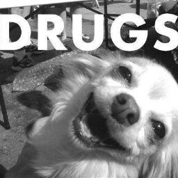 Maria_kantar's profile picture. 