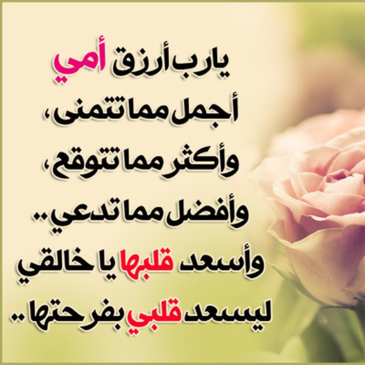 دلال سامي المخيزيم/معلمة نحو، وزارة الأوقاف (اللهم ارزق أمي ووالديها الجنة )