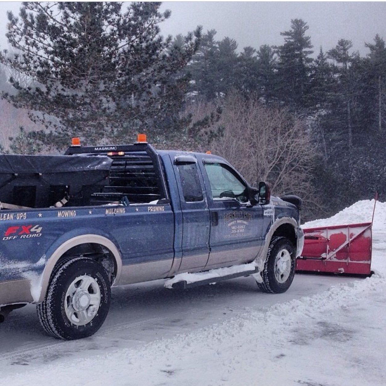 dorsoandson's profile picture. 