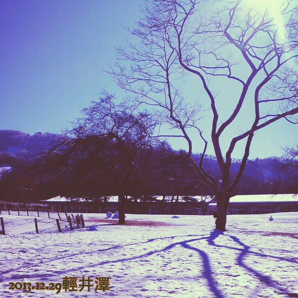 doralife's profile picture. 