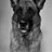 talysoff's profile image