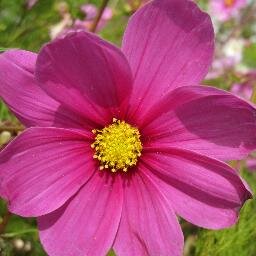 AirbnbSuperhost's profile picture. #kindnessmatters #beautifulBC #FormerAirbnbHost #myphotos #quintuplevaxxed