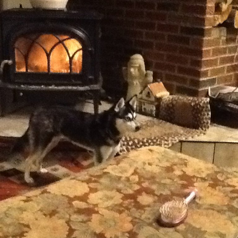 cassonthego12's profile picture. 