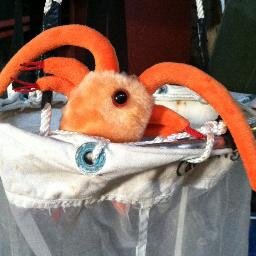 A tiny aquatic drifter by nature, I work @RTC_SFSU as their science mascot. The Lorax speaks for the trees, I speak for the seas!