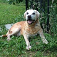 INGE (@matphoto29) 's Twitter Profile Photo