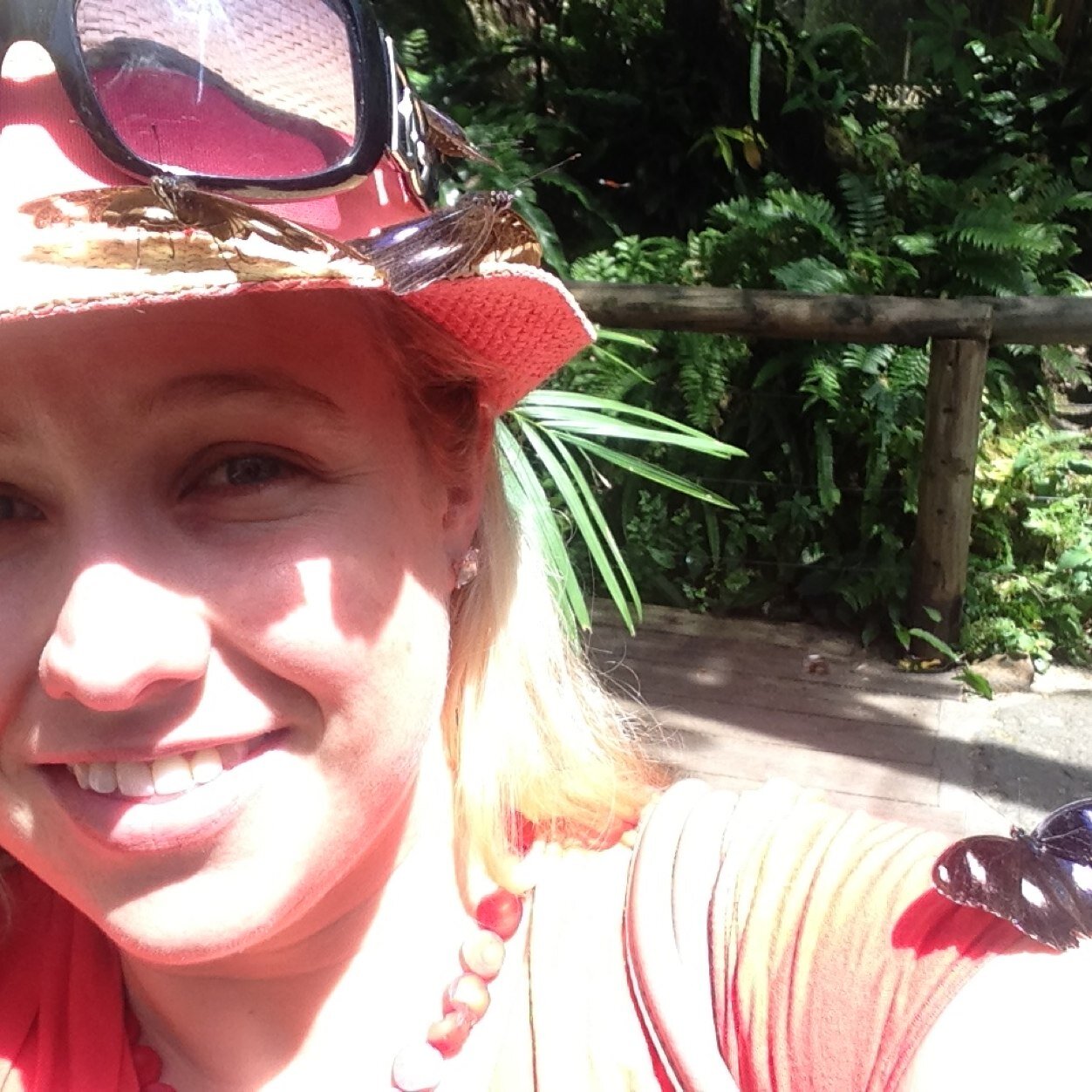 MissFyson's profile picture. Primary school teacher, searching for constant improvement in my practice.