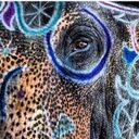 Nicole Blanton - @windofthetrees - Twitter