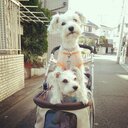 T.murai (@1020Murai) Twitter
