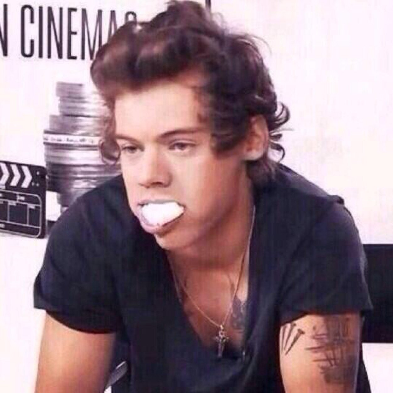 follow @damnharrystylxs