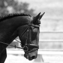 Jackie Ott Jaakola - @jjaakola - Twitter