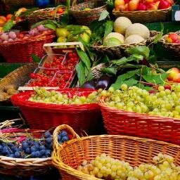 FineFoodWine's profile picture. Website under construction