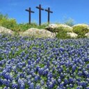 terry witte - @hondotw - Twitter