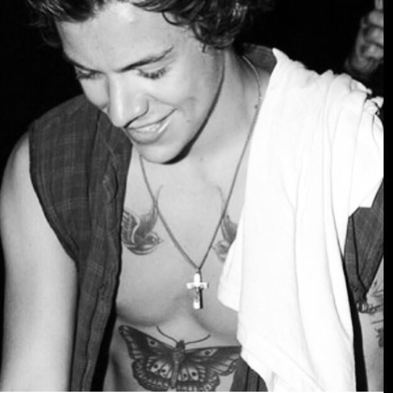 every single one of you is as cute as a B***** -Harry