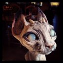 Matthew Mason - @Masonography - Twitter