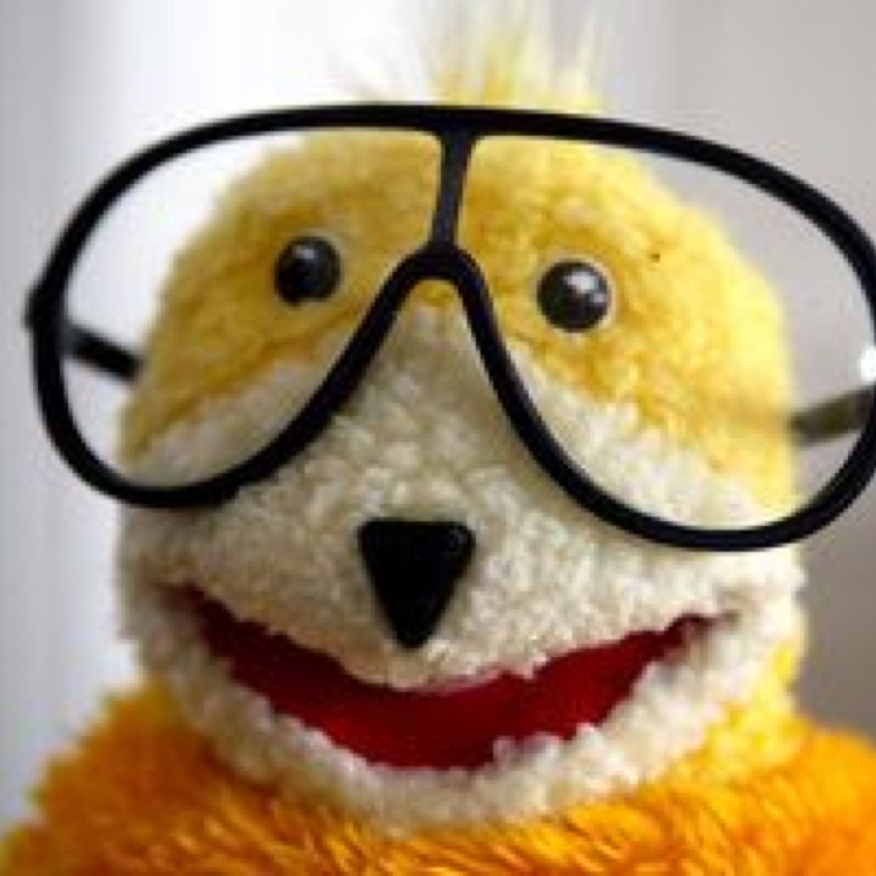 makaroni_0808's profile picture. 植物とお魚とカエルと暮らしています。音楽が好きでデザインのお仕事をしています🪴🐟今年からモリアオガエルの飼育をしています。