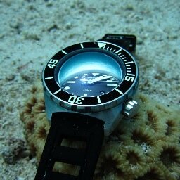 diver_watches's profile picture. 