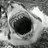 Cantor01's profile image