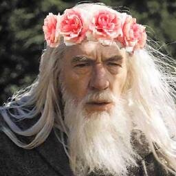 actuallygandalf's profile picture. Throwing shade and being flawless all throughout middle earth. Hot single mom of 14.