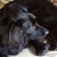 Judith Plummer (@jptrackjp) 's Twitter Profile