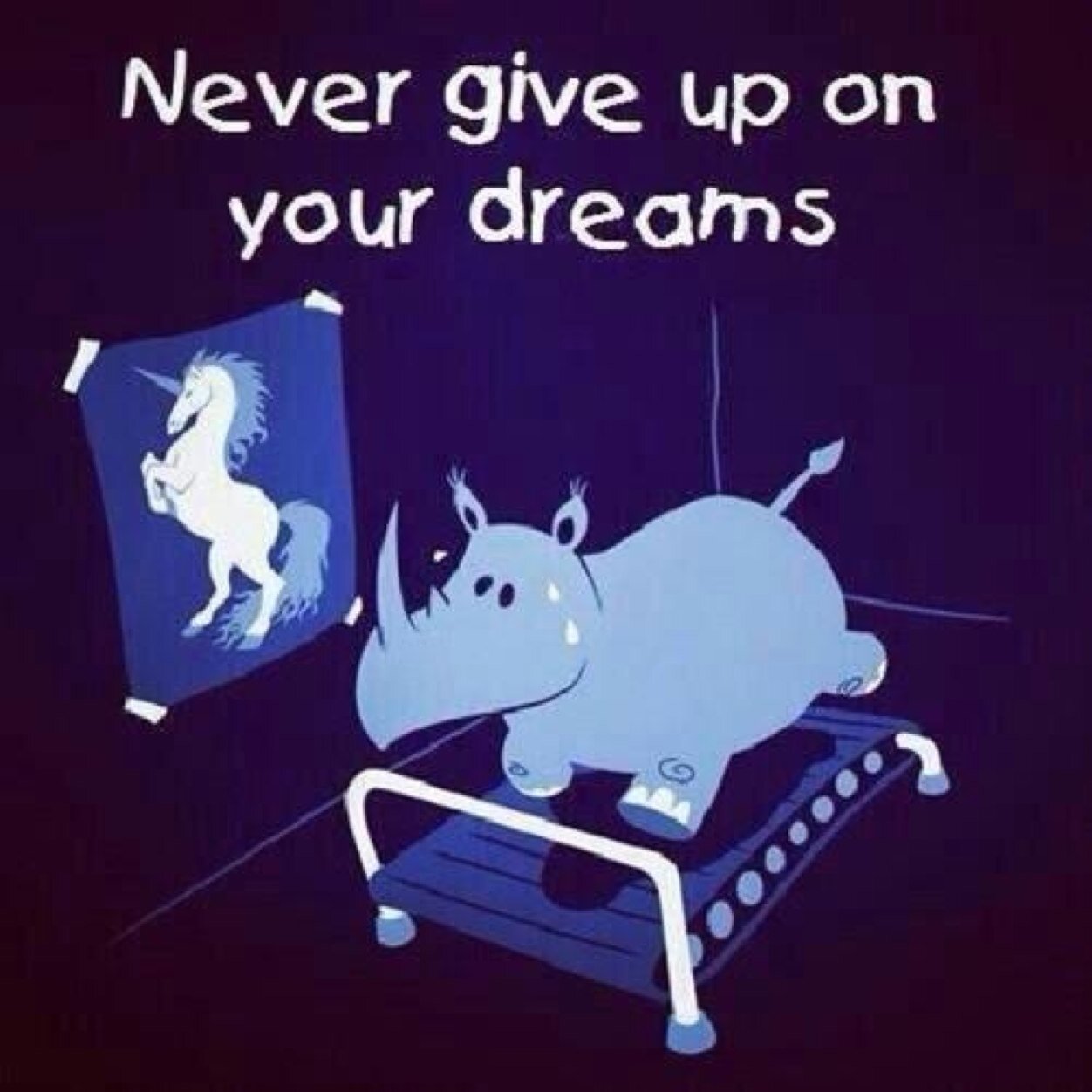 Freshifittie's profile picture. Anon fittness account! No hate, just support and love fitfam! 19 years old. freshman in college!