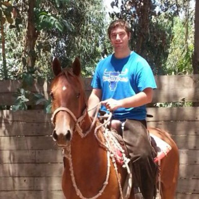 Emprendedor y soñador. Papá de 3, con babero. Director Preu Akademia, profe UAI, emprendiendo con Pan Paula, Villanelo y Eat&Go. Amante de los caballos.