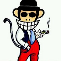 BIG MONKEY JAPARA (@bigmonkeyjpr) 's Twitter Profile