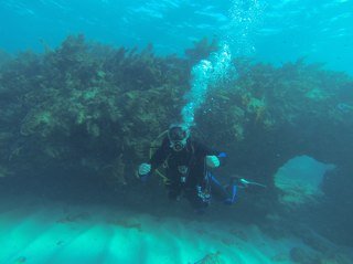 BobbyPreskenis's profile picture. 